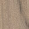 Elegance - Image 12